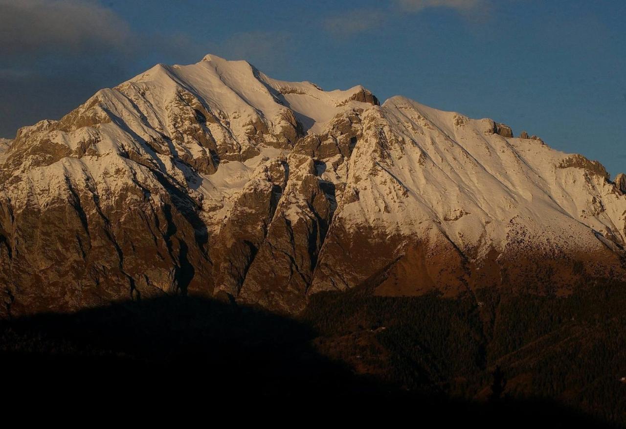 Bed and Breakfast Catif Ladru Cerveno Exterior foto